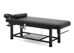 Seren Electric 1 Motor 2 Section Massage Table for Physiotherapy and SPA