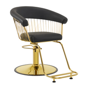 Modern All Purpose Hydraulic Styling Chair