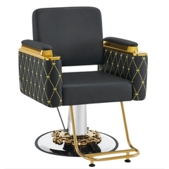 Burlington Modern Hydraulic Hair Styling Chair